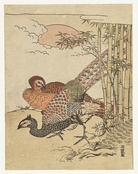 Fazantenkoppel bij bamboe en opkomende zon (1770 - 1780) by Isoda Kôryûsai