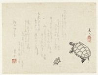 Twee schildpadden (1815 - 1839) by Tani Bunji