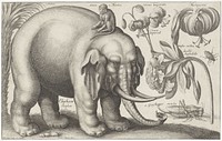 Olifant, aap, bloemen en insecten (1663) by Wenceslaus Hollar and Peter Stent