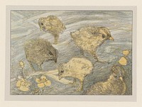Vijf kuikens (1878 - 1915) by Theo van Hoytema