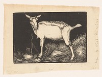 Witte geit (1915) by Jan Mankes