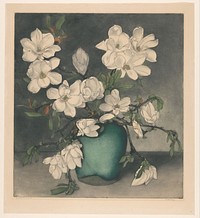 Magnoliatakken (1887 - 1947) by Frans Everbag
