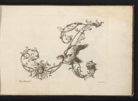 Ornamentele letter A (1745 - 1765) by Lorenzo Lorenzi, Mauro Poggi and Andrea Bimbi