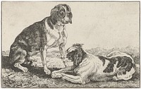 Twee honden (1639 - 1677) by Johan le Ducq