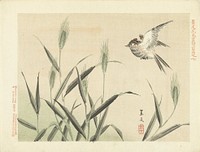 Vogel vliegend bij grassen (1892) by Matsumura Keibun, Aoki Kôsaburô and Aoki Kôsaburô