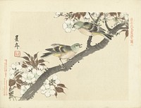 Twee groene vogels op bloesemtak (1892) by Imao Keinen, Aoki Kôsaburô and Aoki Kôsaburô
