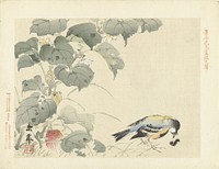 Vogel bij rups (1892) by Imao Keinen, Aoki Kôsaburô and Aoki Kôsaburô