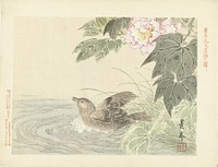Badende vogel bij roze bloem (1892) by Imao Keinen, Aoki Kôsaburô and Aoki Kôsaburô