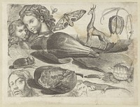 Studieblad met tekenvoorbeelden: koppen, dieren en vruchten (1610 - 1672) by Michael Snijders, Michael Snijders, Adriaen Collaert and Rafaël