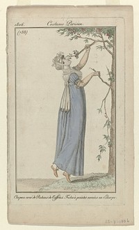 Journal des Dames et des Modes, Costume Parisien, 15 juillet 1806, (738): Chapeau orné de Rubans (...) (1806) by anonymous and Pierre de la Mésangère