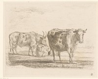 Drie koeien (1793) by Martin Ferdinand Quadal and Martin Ferdinand Quadal