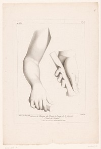 Compositie met een arm en handen (1764 - 1806) by Louis Charles Ruotte and Jean