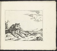 Liggend luipaard, van voren gezien, de poten naar rechts (1657 - 1677) by Marcus de Bye, Paulus Potter and Nicolaes Visscher I