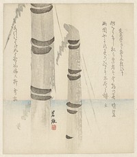 Twee bamboestammen (1800 - 1900) by anonymous