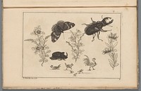 Drie bloementakken met neushoornkever, vlinder en tor (1727 - 1775) by Pieter Schenk II, Pieter Schenk II and Pieter Schenk II