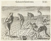 Landbouw bij oorspronkelijke bewoners van Amerika (1591) by Theodor de Bry, Johann Theodor de Bry and Theodor de Bry