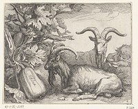 Geiten en kalebas (1611) by Boëtius Adamsz Bolswert, Abraham Bloemaert and Boëtius Adamsz Bolswert