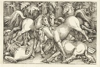 Groep van zeven vechtende paarden (1534) by Hans Baldung Grien
