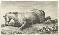Gesneuveld paard op de buik liggend (1674 - 1733) by Jan van Huchtenburg, Adam Frans van der Meulen and Adam Frans van der Meulen