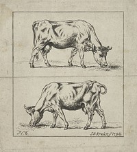 Studie van een koe (1794) by Simon Andreas Krausz