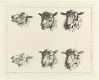 Studieblad met zes schapenkoppen (1761 - 1784) by Johannes Janson