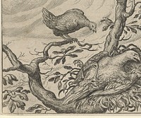 Fabel van de zieke gier (1608) by Aegidius Sadeler II, Marcus Gheeraerts I, Marcus Gheeraerts I and Aegidius Sadeler II