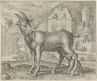 Fabel van de geit en de jonge wolf (1608) by Aegidius Sadeler II, Marcus Gheeraerts I, Marcus Gheeraerts I and Aegidius Sadeler II