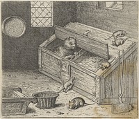 Fabel van de oude kat en de muizen (1608) by Aegidius Sadeler II, Marcus Gheeraerts I, Marcus Gheeraerts I and Aegidius Sadeler II