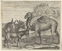 Fabel van de ezel, de buffel de kameel en het muildier (1608) by Aegidius Sadeler II, Marcus Gheeraerts I and Aegidius Sadeler II