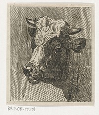 Koeienkop naar links (c. 1822 - 1887) by Johannes Hari II
