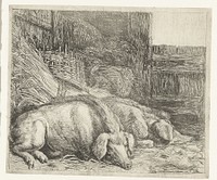 Twee varkens (1610 - 1653) by Simon de Vlieger and Simon de Vlieger