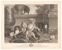 Drie honden waarvan een verkleed op een patio (1758) by Jean Daullé, Jean Baptiste Oudry, Jean Daullé and Lodewijk XV koning van Frankrijk