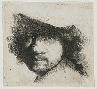 Sheet of studies: head of the artist (1632) by Rembrandt van Rijn and Rembrandt van Rijn