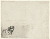 Kop van een hond (1630 - 1700) by anonymous and Rembrandt van Rijn