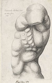 Anatomische studie van de torso van een man, van opzij gezien (1645) by Wenceslaus Hollar and Leonardo da Vinci