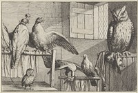 Valken en uilen in een schuur (1654 - 1662) by Wenceslaus Hollar and Francis Barlow