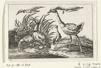Watervogels (1654 - 1712) by anonymous, Wenceslaus Hollar and Francis Barlow