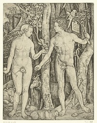 Adam en Eva bij boom van kennis van goed en kwaad in paradijs tijdens zondeval (1504 - 1536) by Marcantonio Raimondi, Agostino Veneziano and Albrecht Dürer