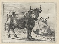 Staande en liggende koe (1650) by Paulus Potter, Paulus Potter and Paulus Potter