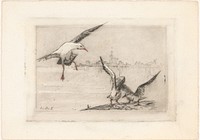 Zeemeeuwen bij het water (1881 - 1949) by Lucie van Dam van Isselt