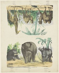 Wilde dieren (1820 - 1865) by Friedrich Gustav Schulz and anonymous