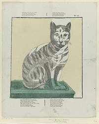 Geen nutter dier voor rot en muis, / Als een mooi katje in uw huis [(...)] (1800 - 1833) by Philippus Jacobus Brepols and anonymous