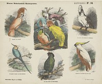 Klimvogels (1865 - 1875) by Monogrammist A K, George Lodewijk Funke and Emrik and Binger