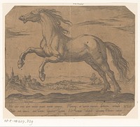 Een paard naar links galopperend (1590) by Antonio Tempesta and Antonio Tempesta