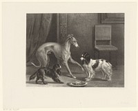 Drie honden (1847 - 1865) by Anthonie van Volkom, Conradijn Cunaeus and Koninklijke Nederlandse Steendrukkerij van C W Mieling