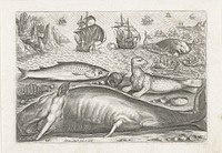 Een harder, een zeeleeuw en een walvis op het strand (after 1598 - 1618) by Adriaen Collaert, Adriaen Collaert and Adriaen Collaert