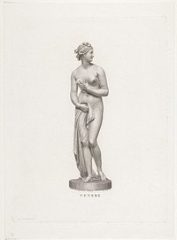 Venus (1793 - 1838) by Angelo Bertini, Giovanni Tognolli and Antonio Canova