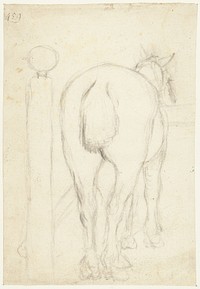 Staand paard, van achteren (c. 1658 - c. 1659) by Moses ter Borch