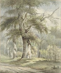Bosgezicht (1813 - 1863) by Arnoldus Johannes Eymer
