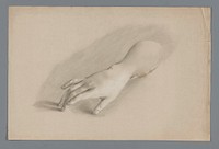 Gipsmodel van een hand (c. 1800 - c. 1900) by Alexander Cranendoncq